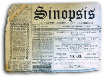 Sinopsis
